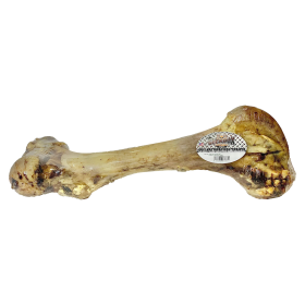 Femur Beef Bone (size: Case- 10)