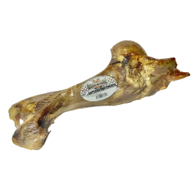 Dino Beef Bone (size: Individual)