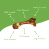 Dino Beef Bone