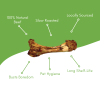 Tibia Beef Bone