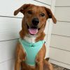 American River Solid Ultra Choke Free Dog Harness