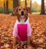 Color-Block Hoodie