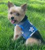 Cool Mesh Dog Harness with Leash