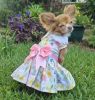 Pastel Meadow Dog Dress with Matching Leash