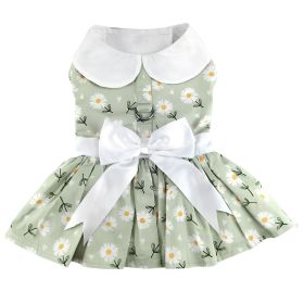 Mint Green Daisy Dog Dress with Matching Leash (size: X-Small)