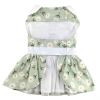 Mint Green Daisy Dog Dress with Matching Leash