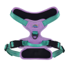 Venture Paw Pull Control Dog Harness