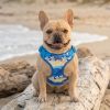 Wrap and Snap Choke Free Dog Harness by Doggie Design
